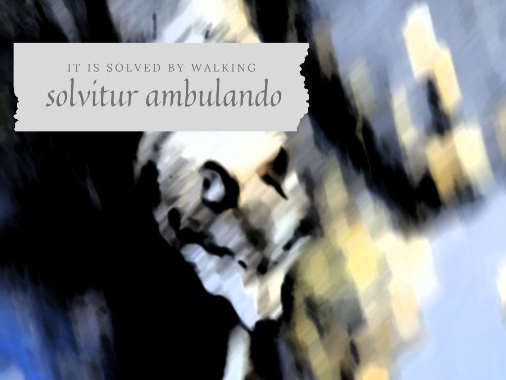 solvitur ambulando