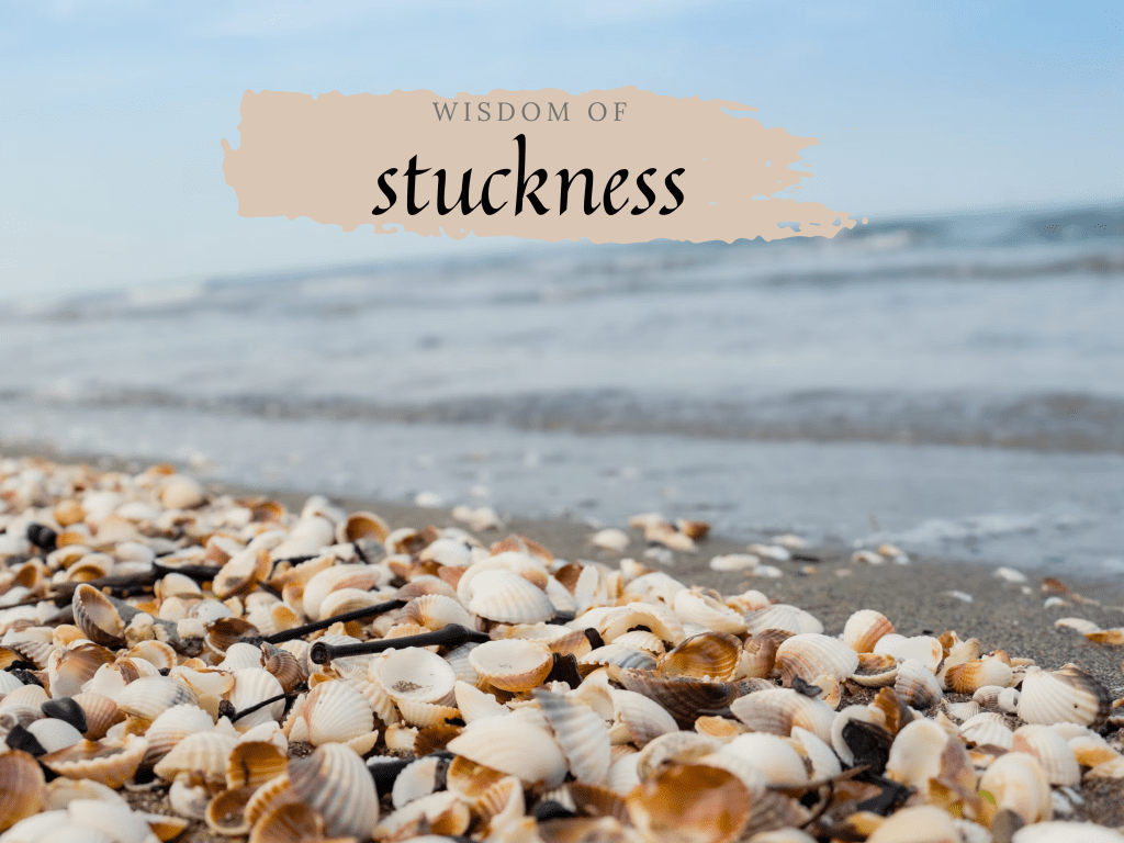the wisdom of&nbsp;stuckness